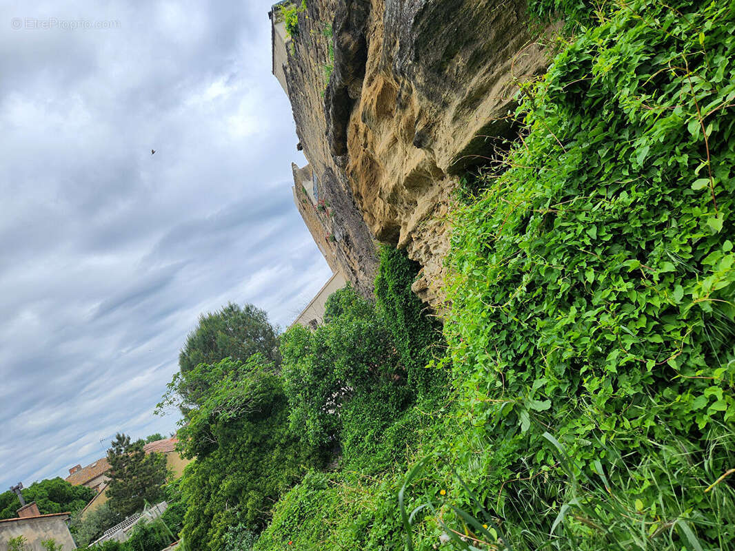 Terrain à ENTRAIGUES-SUR-LA-SORGUE