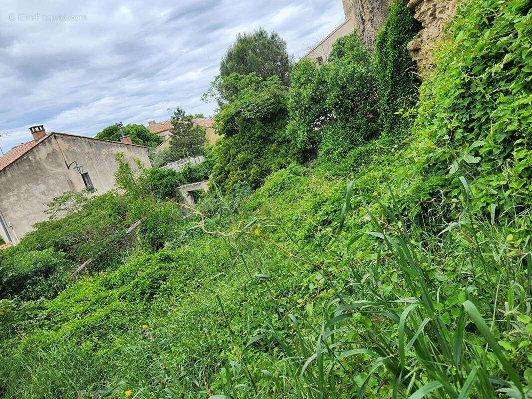 Terrain à ENTRAIGUES-SUR-LA-SORGUE