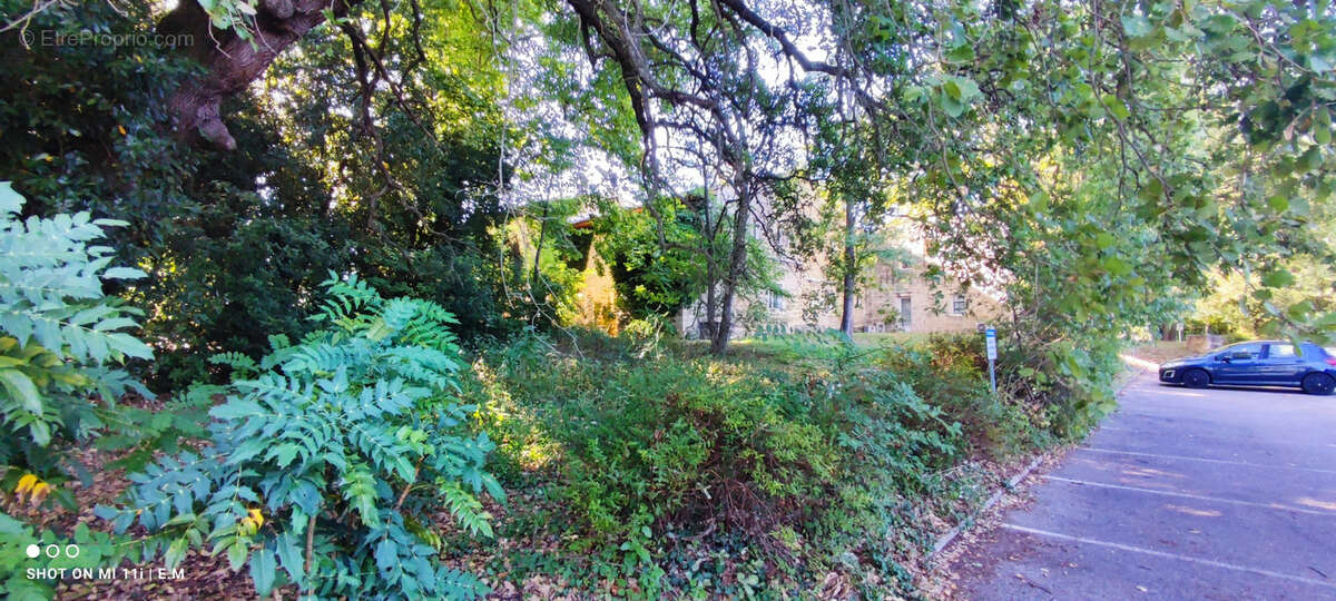 Commerce à VILLEVIEILLE