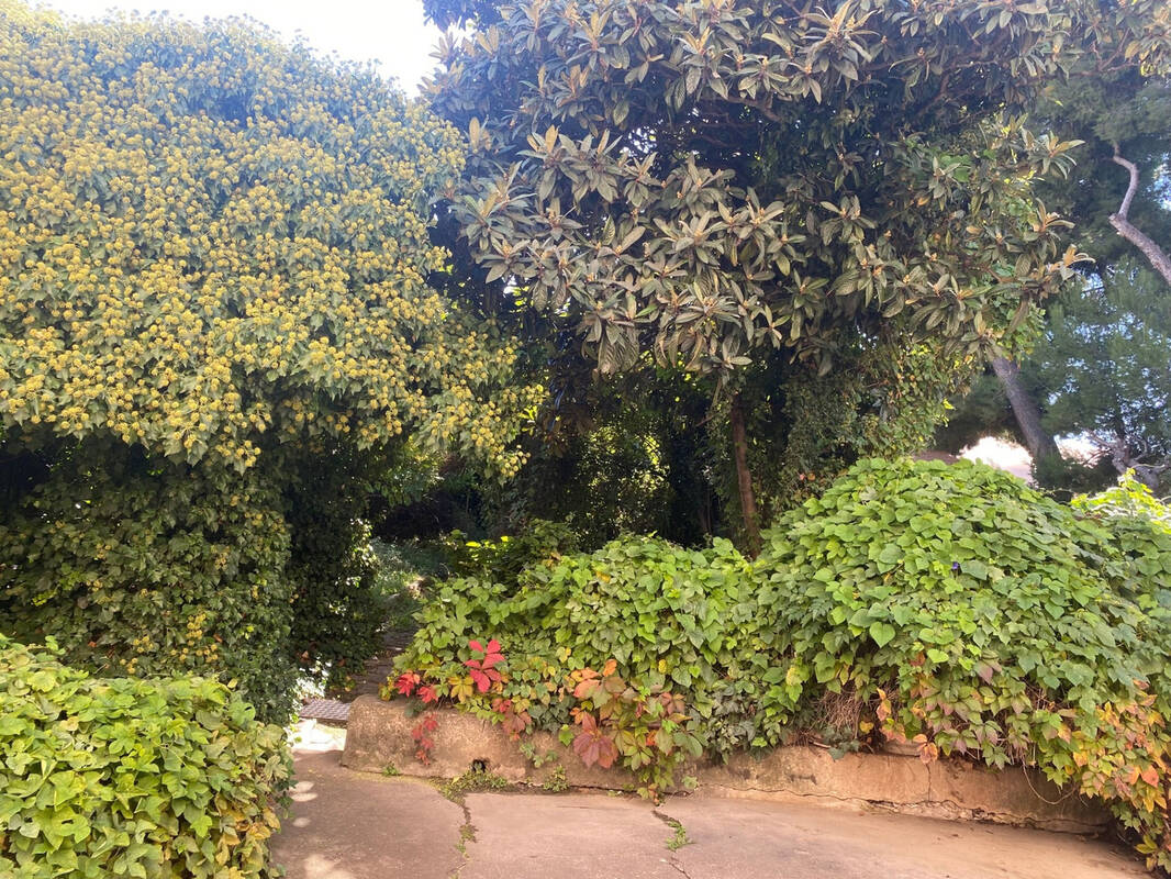 Maison à MARSEILLE-14E