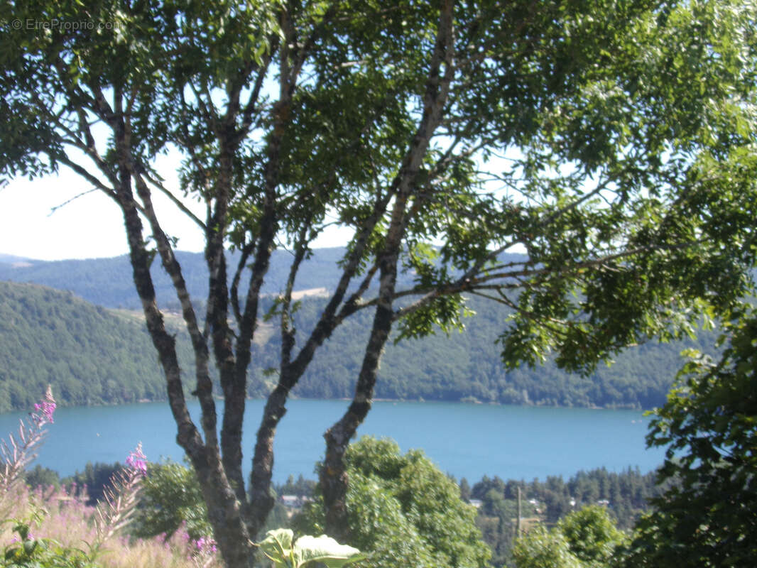 Maison à LE LAC-D&#039;ISSARLES