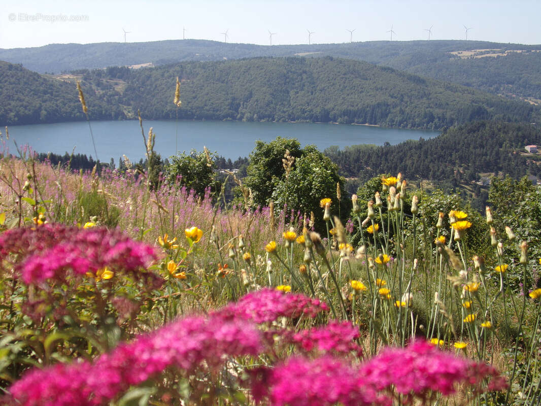 Maison à LE LAC-D&#039;ISSARLES