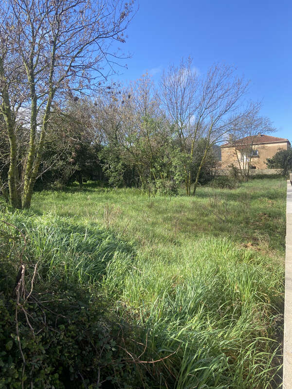 Terrain à LA PENNE-SUR-HUVEAUNE