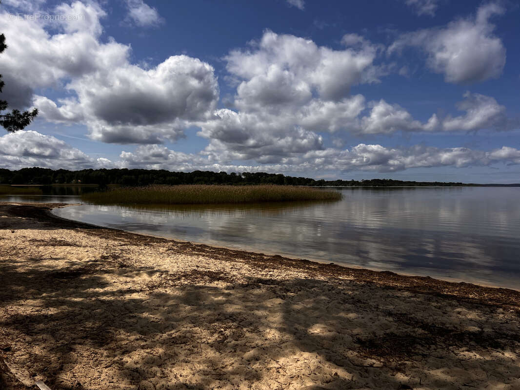 Terrain à SANGUINET