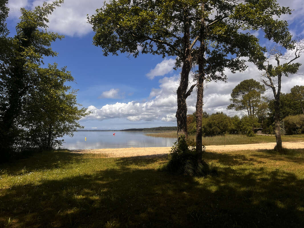 Terrain à SANGUINET