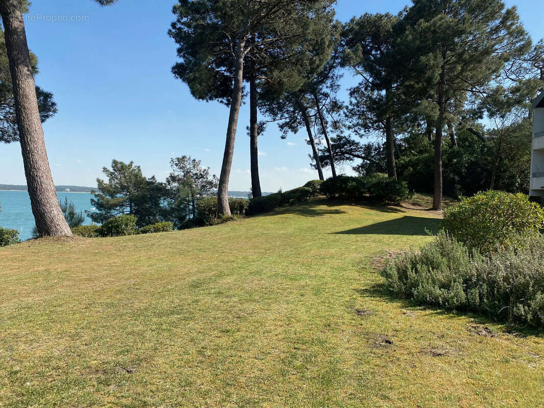 Appartement à LEGE-CAP-FERRET