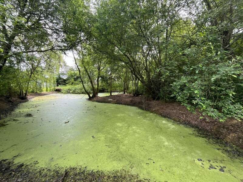 Terrain à SAINT-GILDAS-DES-BOIS
