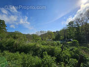 Terrain à SAINT-GENES-CHAMPANELLE