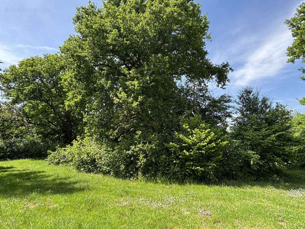 Maison à MARCILLY-EN-VILLETTE