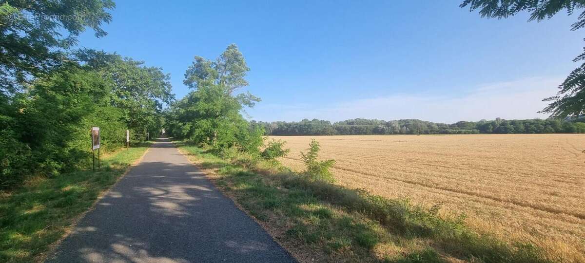Maison à ROCHEMAURE