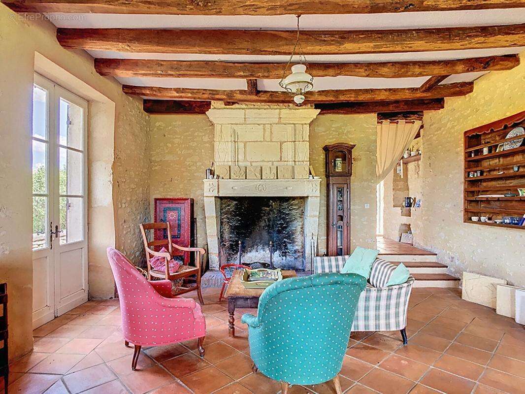 Maison à LE BUISSON-DE-CADOUIN