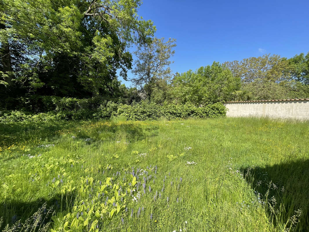 Terrain à CHARNAY-LES-MACON