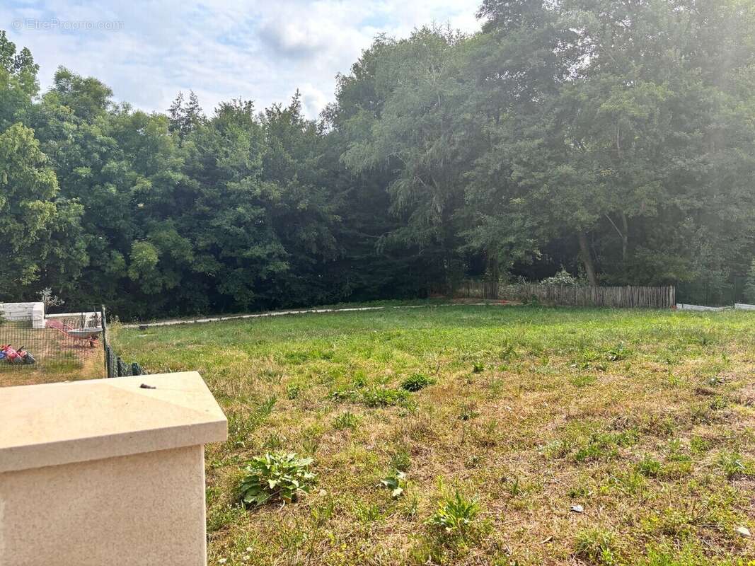 Terrain à BRIVE-LA-GAILLARDE