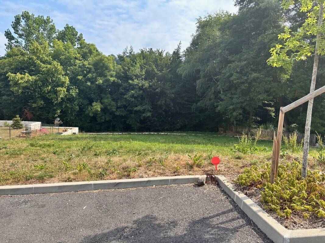 Terrain à BRIVE-LA-GAILLARDE