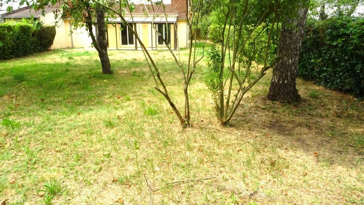 Maison à CHEVIGNY-SAINT-SAUVEUR