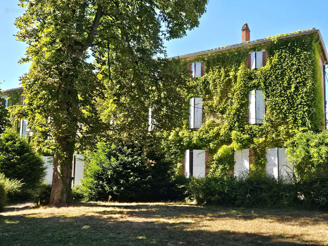 Maison à ROQUECOURBE