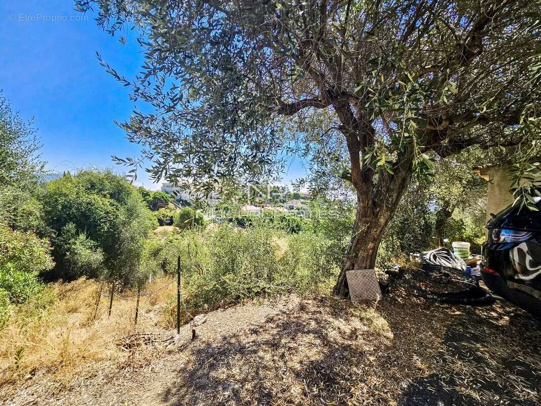 Terrain à NICE