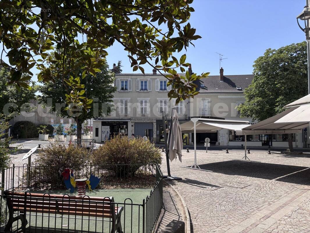 IMG_7730 - Appartement à OLIVET