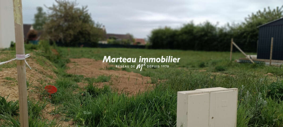 Terrain à NEUVILLE-SUR-SARTHE