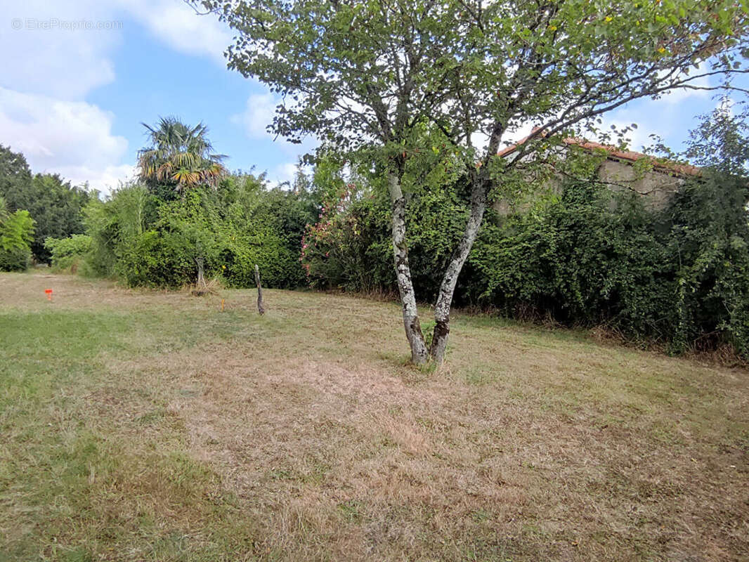 Terrain à SAINTE-FLAIVE-DES-LOUPS