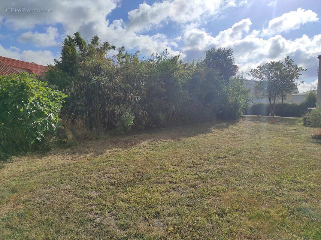 Terrain à SAINTE-FLAIVE-DES-LOUPS