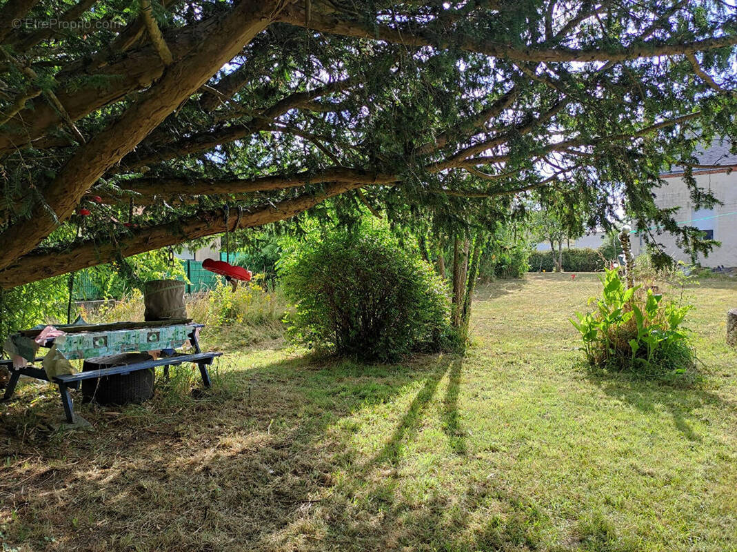 Terrain à SAINTE-FLAIVE-DES-LOUPS