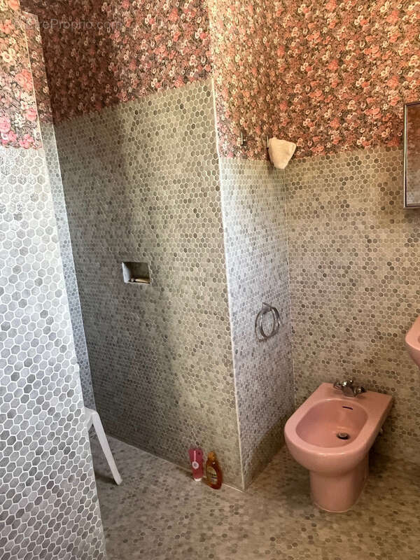 Maison à SAINT-VALLIER-DE-THIEY