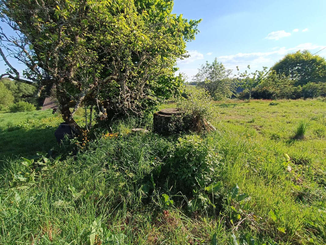 Maison à SAINT-JULIEN-AUX-BOIS