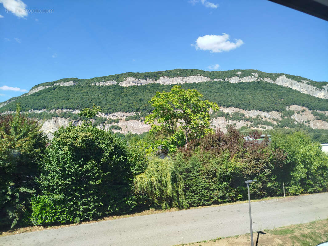 Commerce à SILLINGY