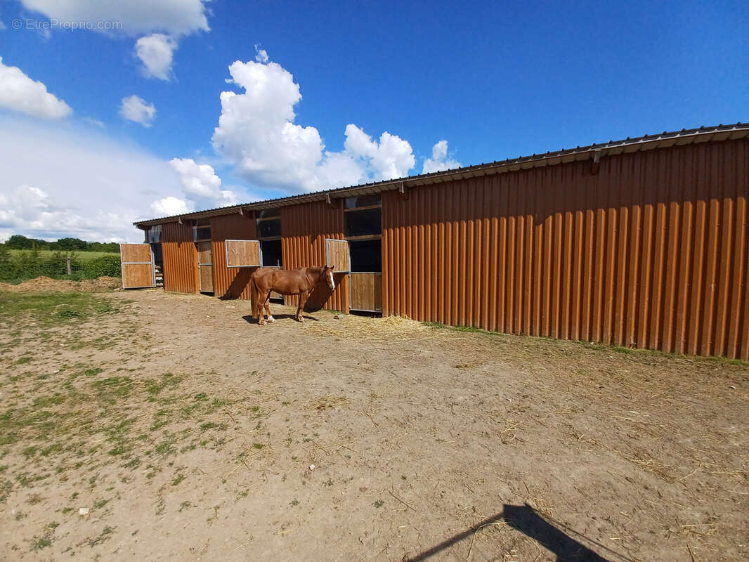 Maison à JUSSY-LE-CHAUDRIER