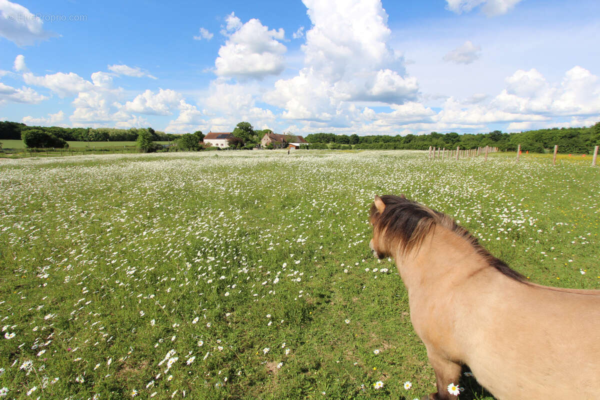 Maison à JUSSY-LE-CHAUDRIER