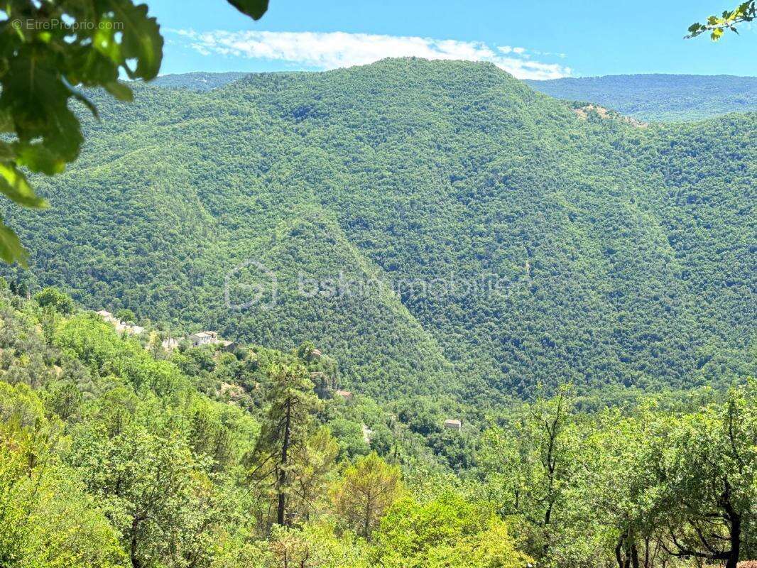 Terrain à PIERREFEU