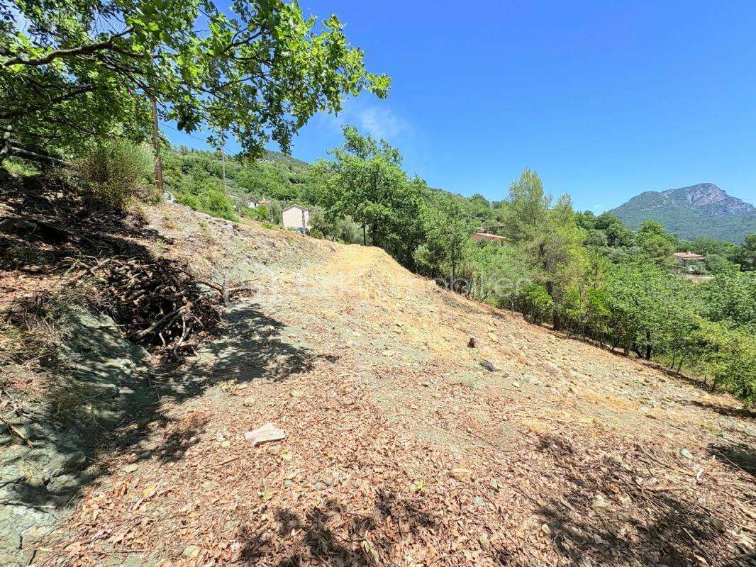 Terrain à PIERREFEU