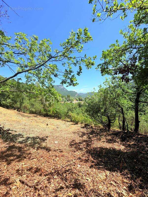 Terrain à PIERREFEU