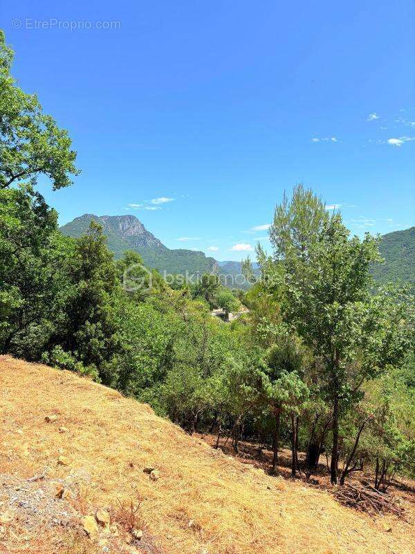 Terrain à PIERREFEU