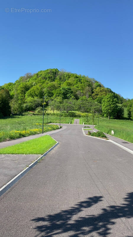 Terrain à APREMONT-LA-FORET