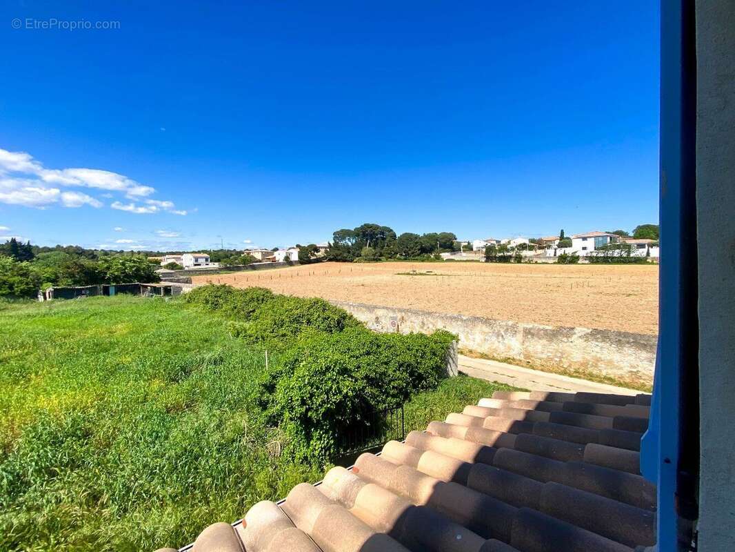 Photo 8 - Maison à BOUZIGUES