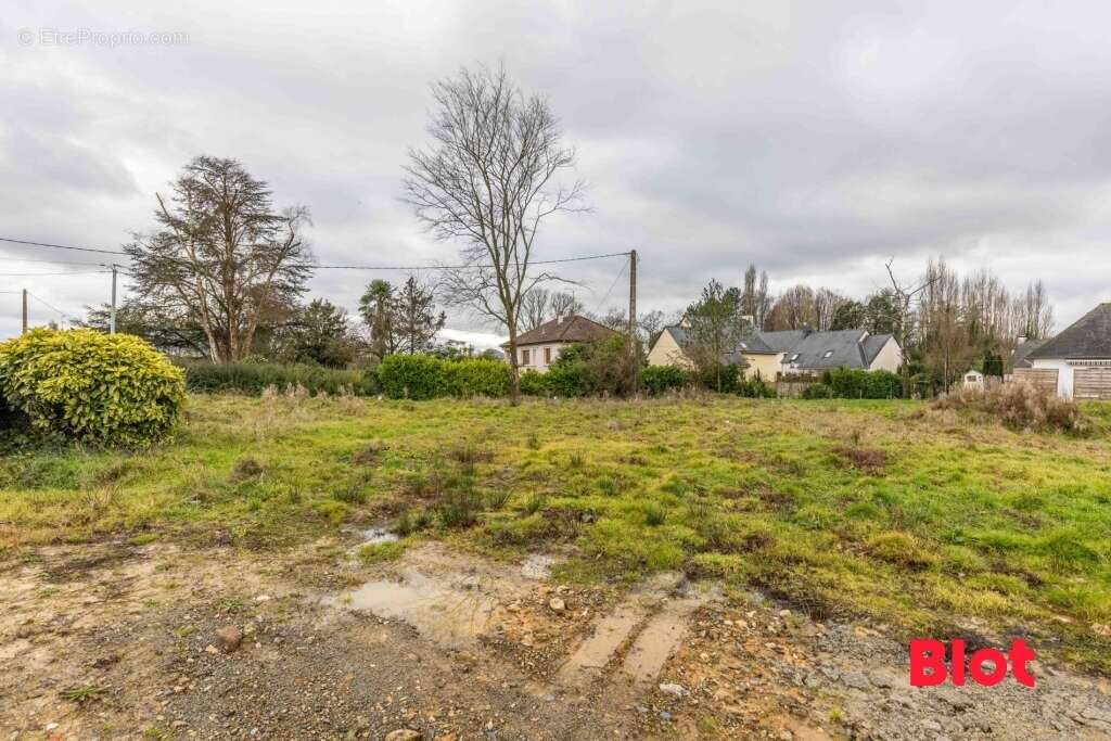 Terrain à BETTON
