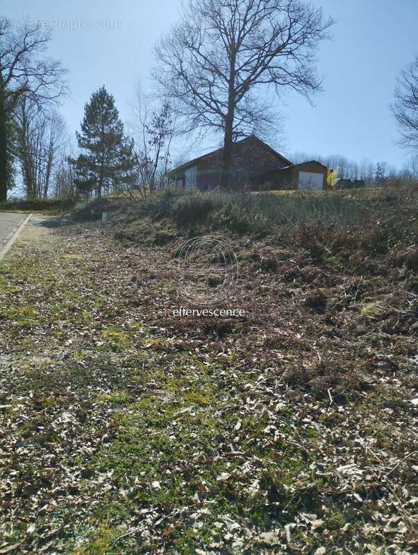 Terrain à SAINT-HILAIRE-LES-PLACES