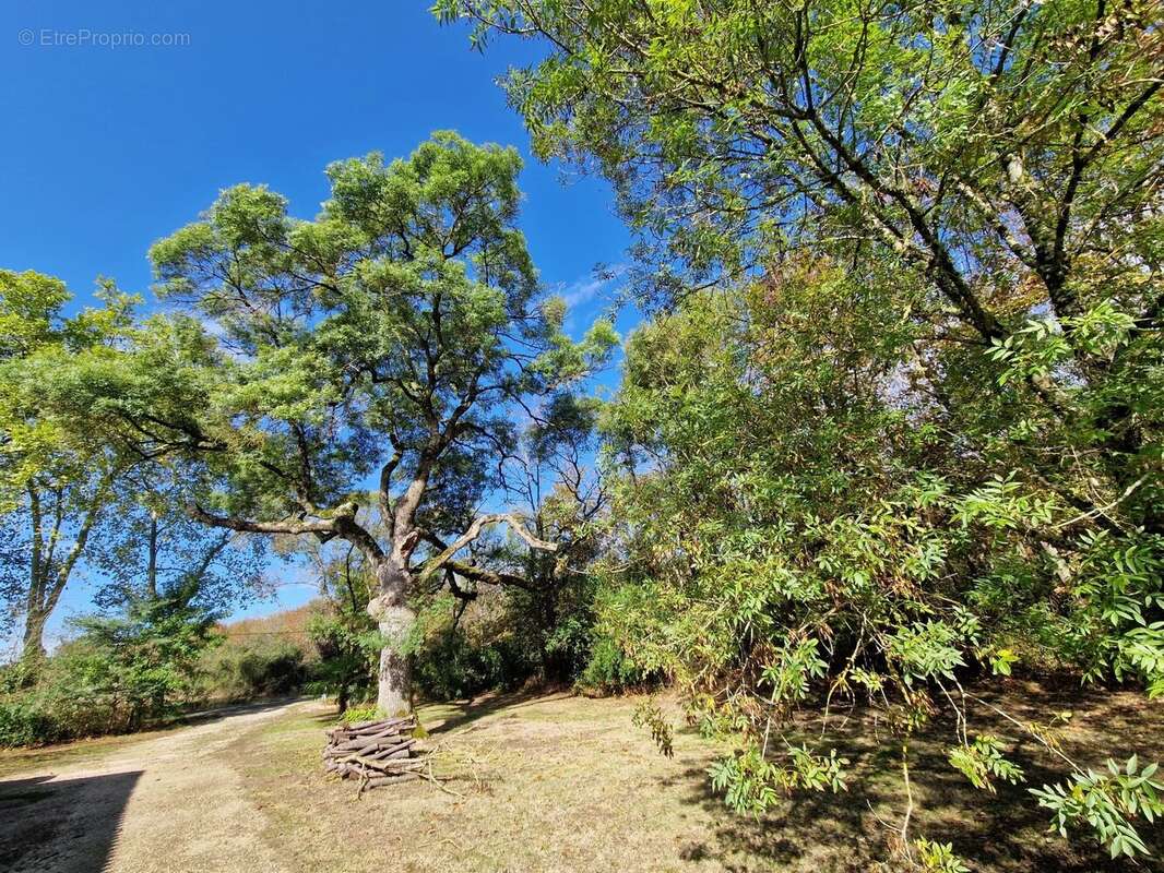 Maison à VIC-FEZENSAC