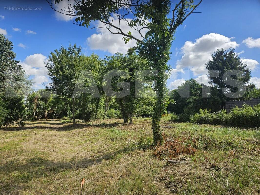 20250628_112401 - Terrain à SAINT-SIMEON