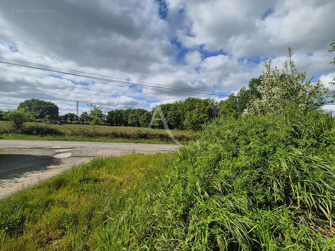 Terrain à LA CHAPELLE-SUR-ERDRE