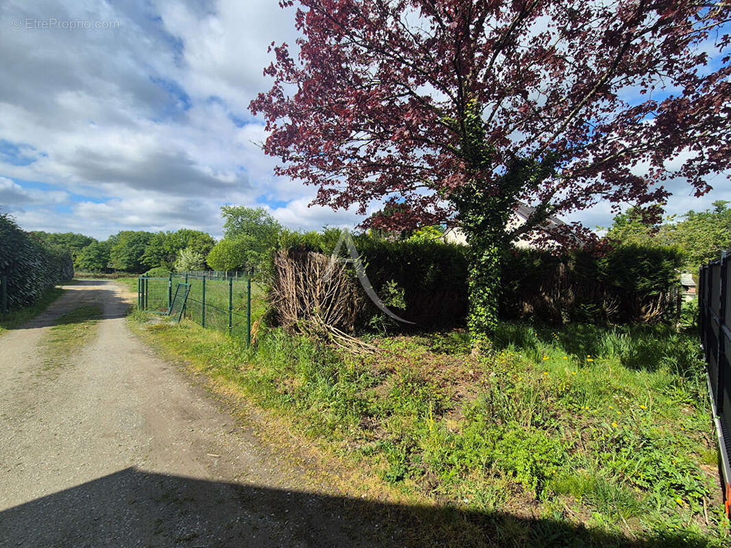 Terrain à LA CHAPELLE-SUR-ERDRE
