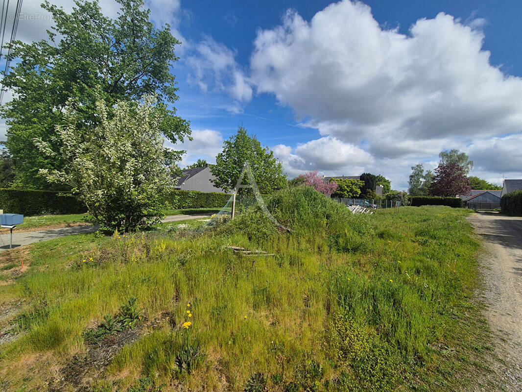 Terrain à LA CHAPELLE-SUR-ERDRE