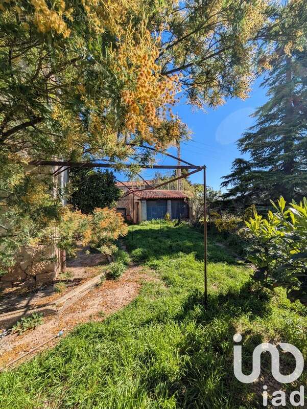 Photo 5 - Maison à SAINT-SATURNIN-DE-LUCIAN