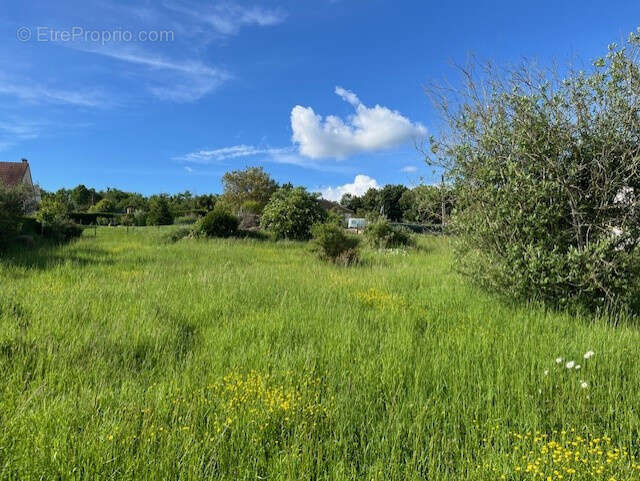 Terrain à GISORS