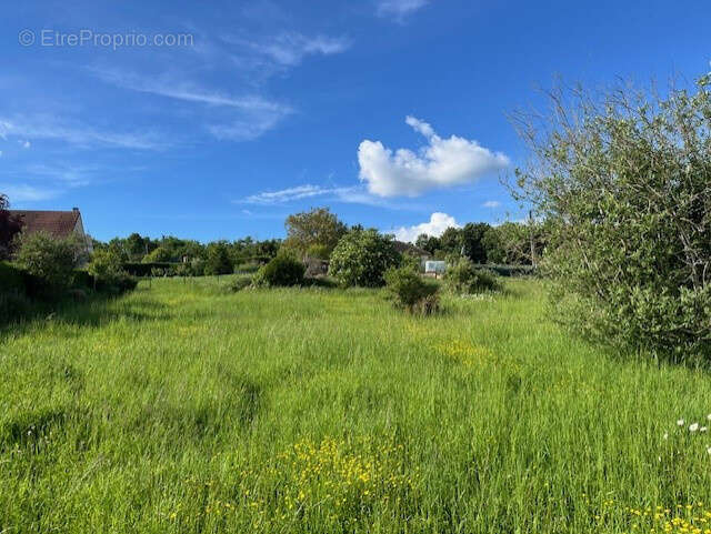 Terrain à GISORS