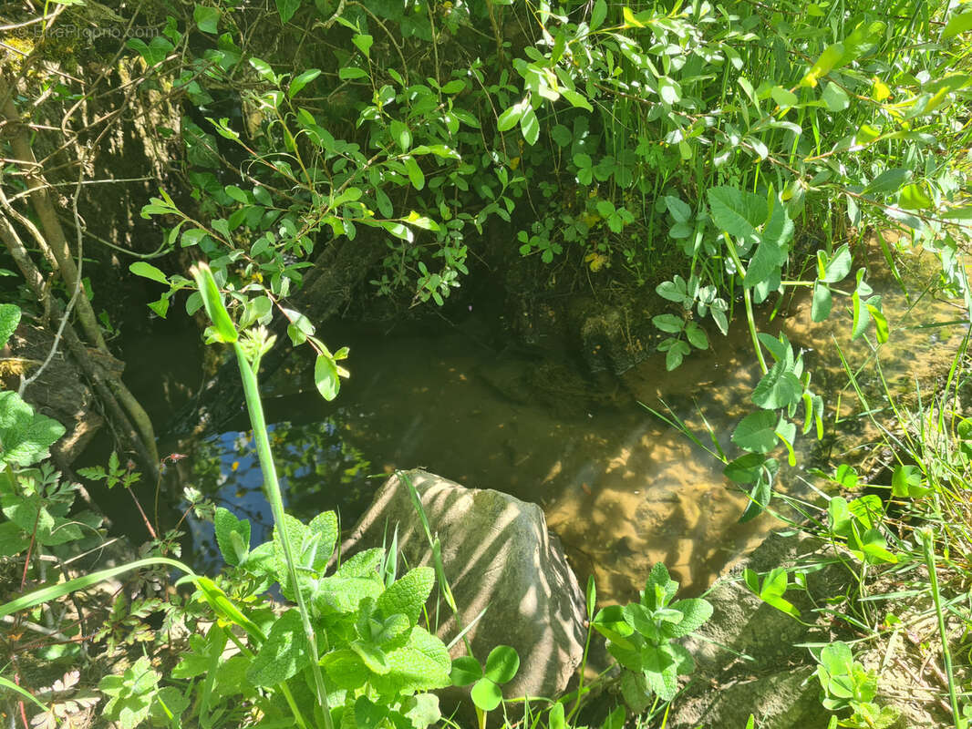 Maison à LA PORCHERIE