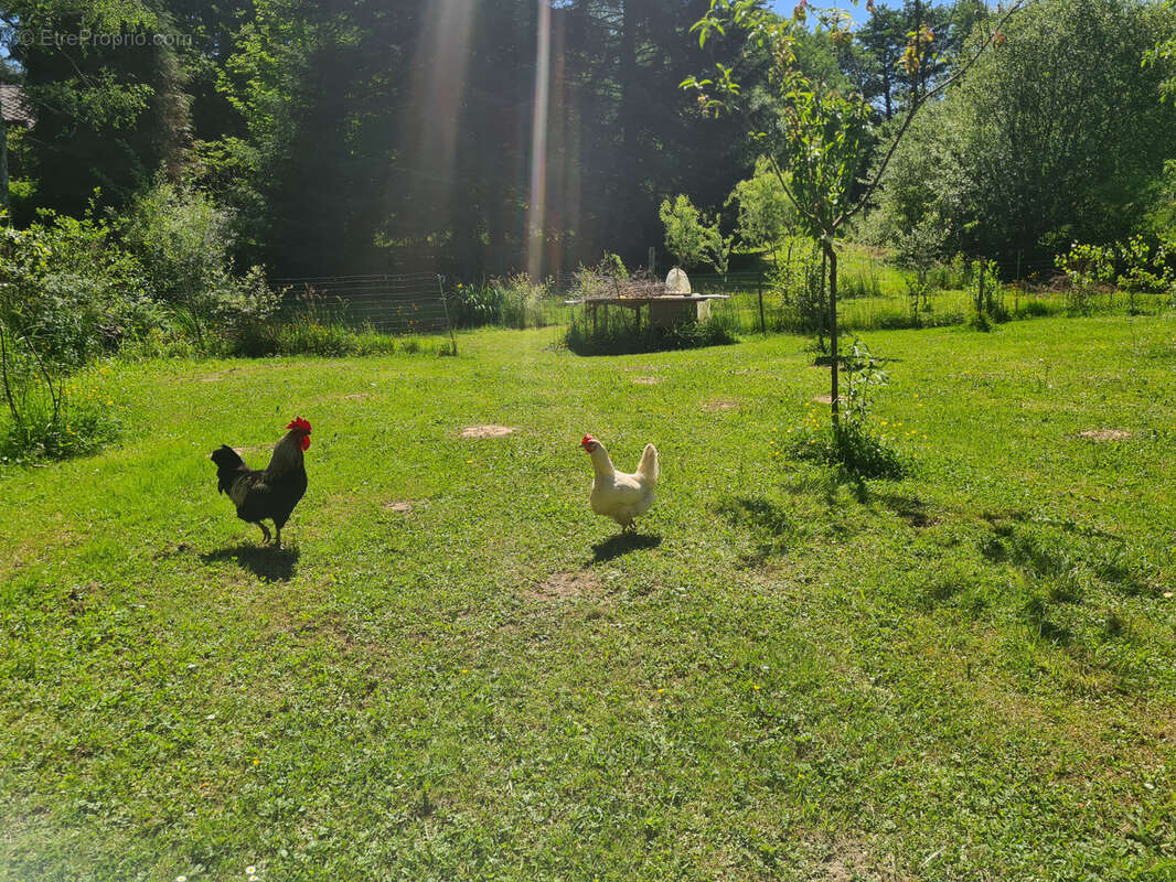 Maison à LA PORCHERIE