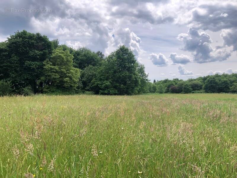 Terrain à SAINT-FRONT-DE-PRADOUX